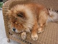 20121110_Cusca_Avalanche (44)